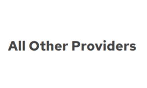 all-other-providers Adam Systems